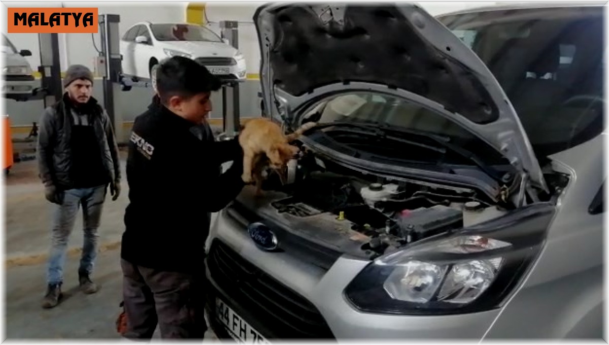 Isınmak için girdiği aracın motorundan çıkmak istemedi