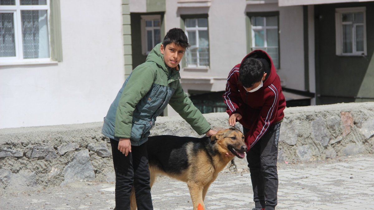İşkence edilen köpeğe çocuklar sahip çıktı