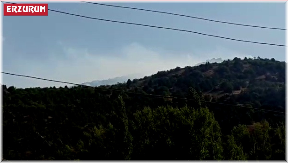 İspir'de orman yangını