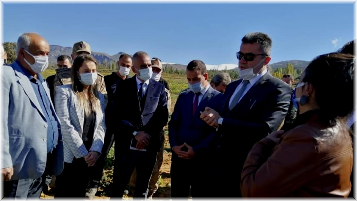 İspir Hanımeli Kadın Kooperatifi 100 dönüm araziye ektikleri fasulye hasadını protokol ile yaptılar