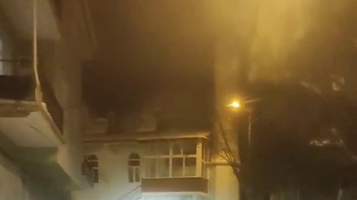 İspirde yiyecek arayan vaşak görüntülendi