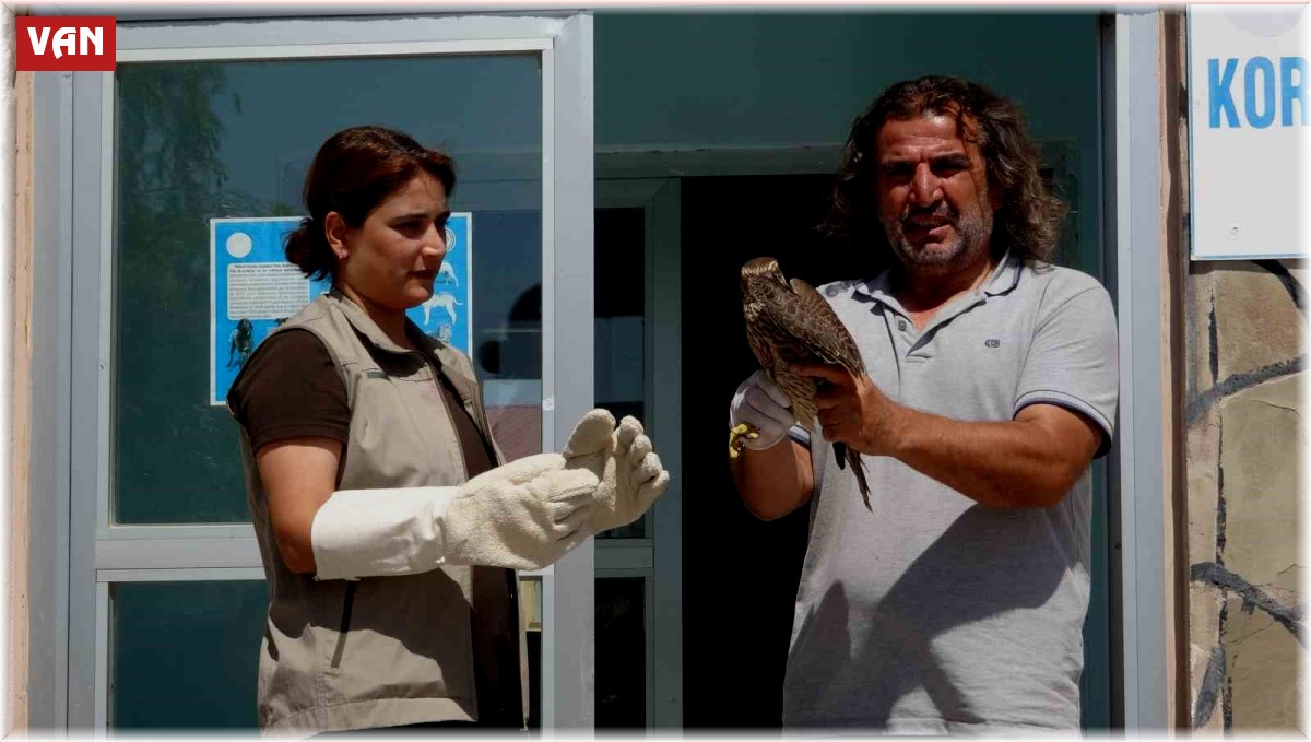 İsrail'de halkalanan gökdoğan kuşu tedavisinin ardından özgürlüğe kanat çırptı