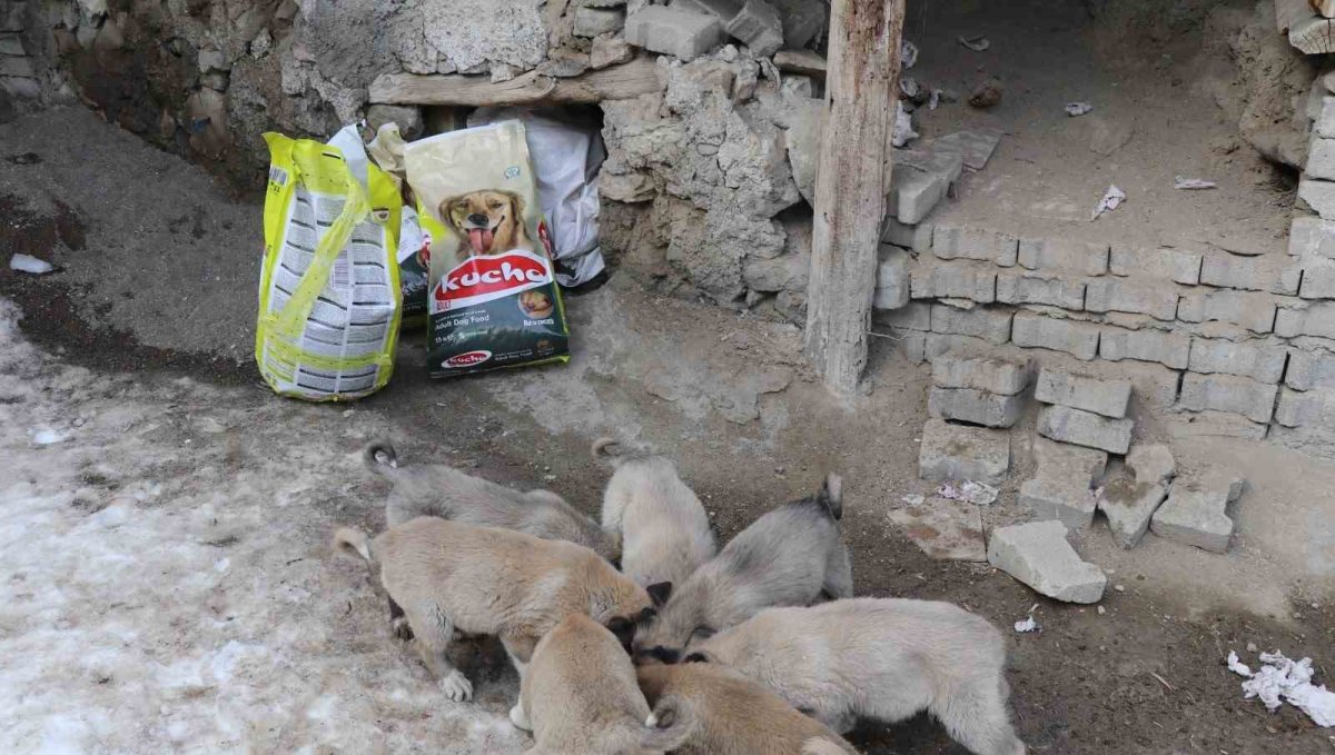 İstanbul'dan Erzurum'a uzanan yardım eli
