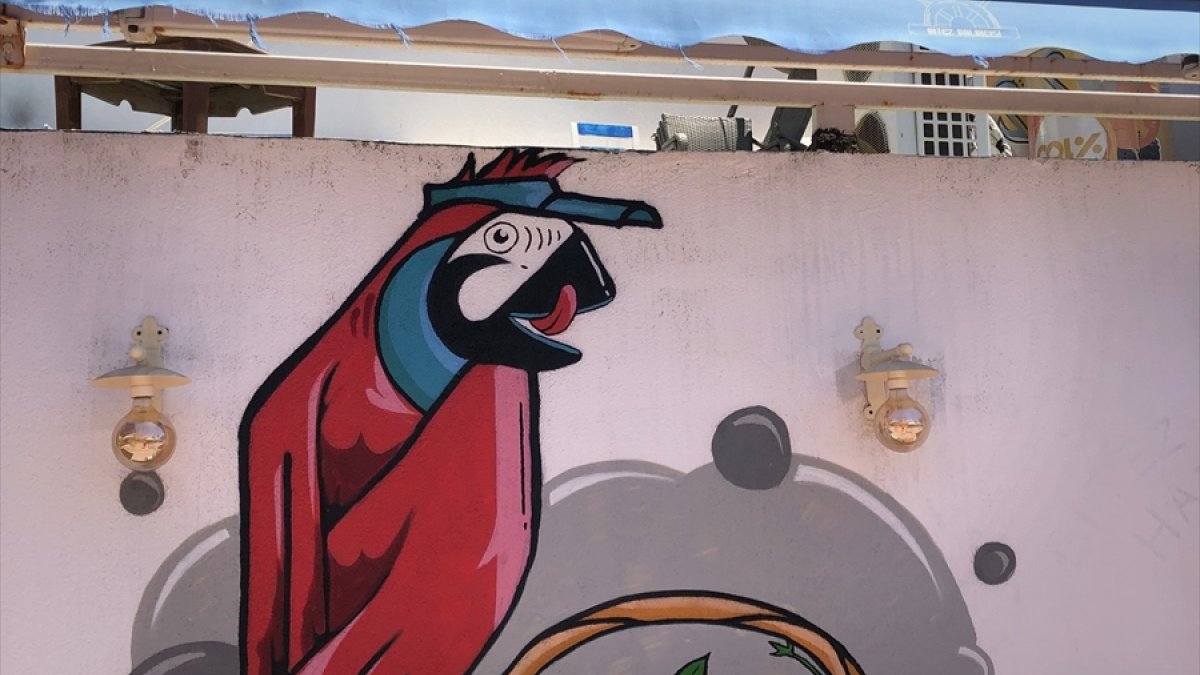 istegelsin Bodrum'un kırmızı papağanlarını sahiplendi