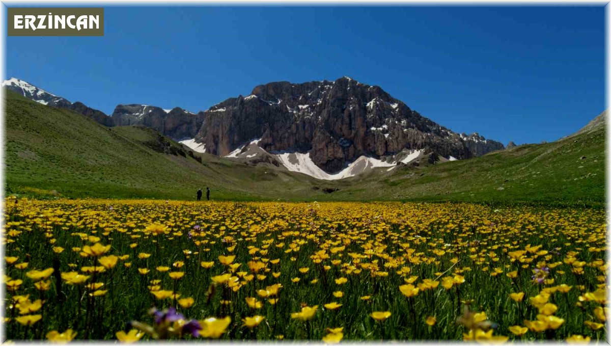 İsviçre Alperi değil, Munzur Dağı'nda ki Merg Yaylası