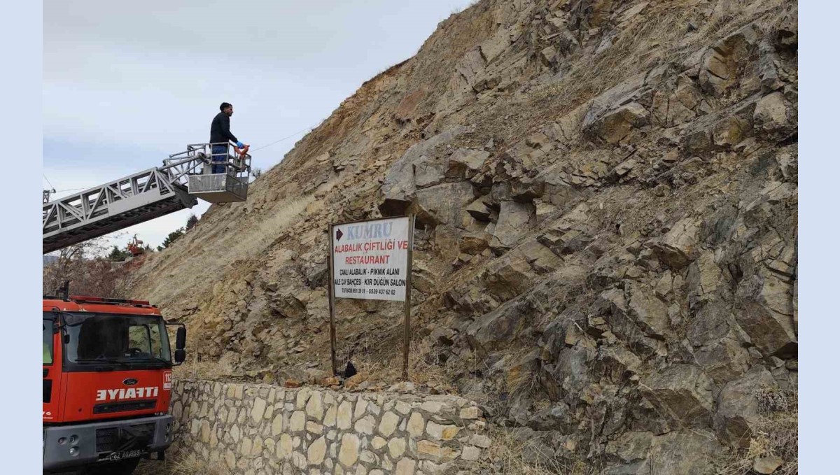 İtfaiye ekipleri kayalıklarda mahsur kalan köpek için seferber oldu