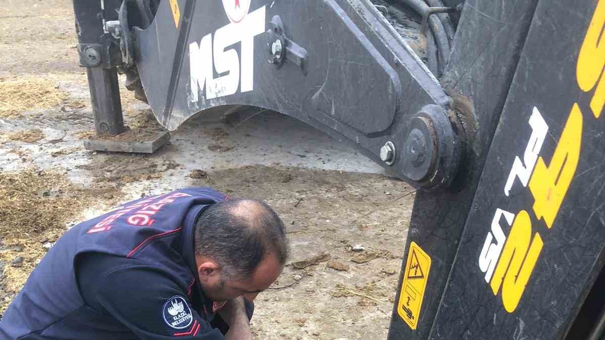 İtfaiye ekipleri kuyuya düşen gebe inek için zamanla yarıştı