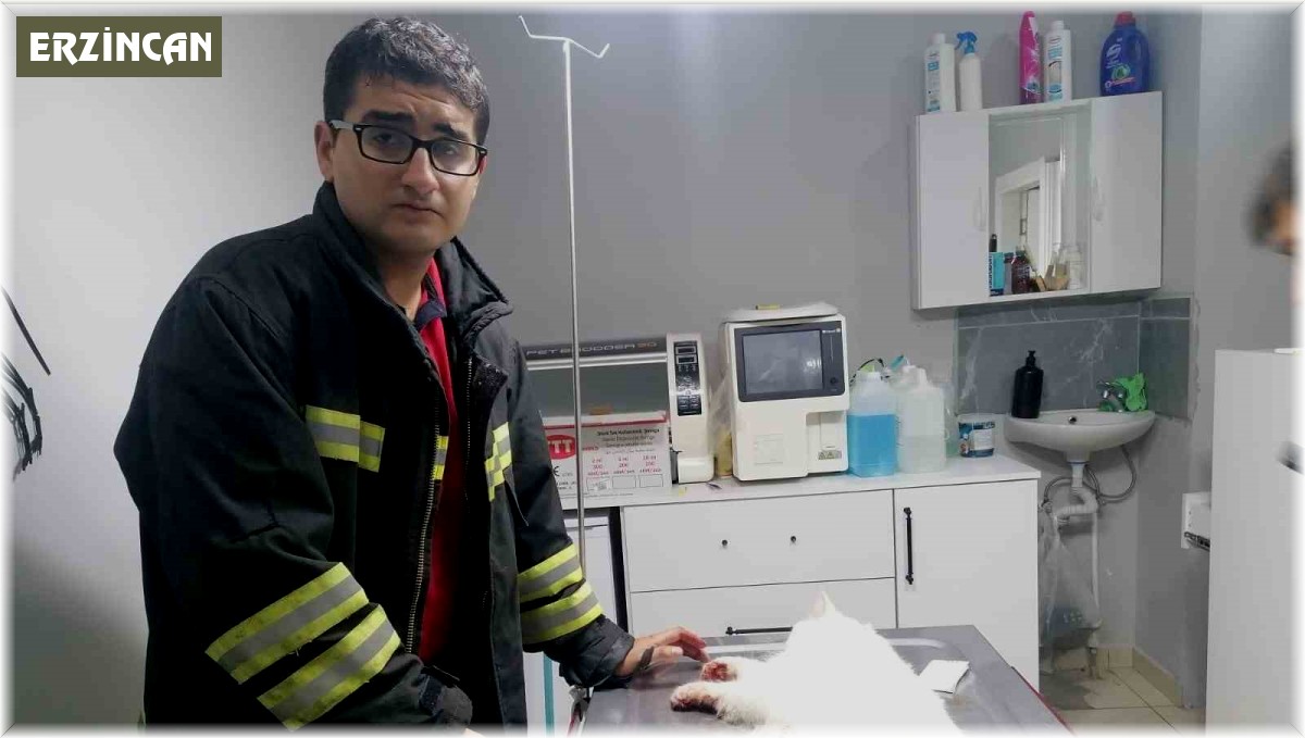 İtfaiye kurtardığı kediyi veteriner kliniğine götürdü
