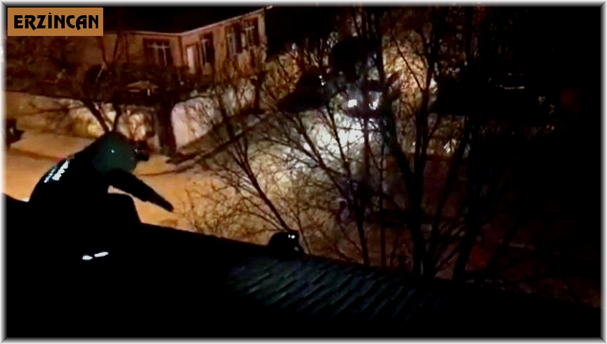 İtfaiyeden çatıdaki kediyi kurtarma operasyonu