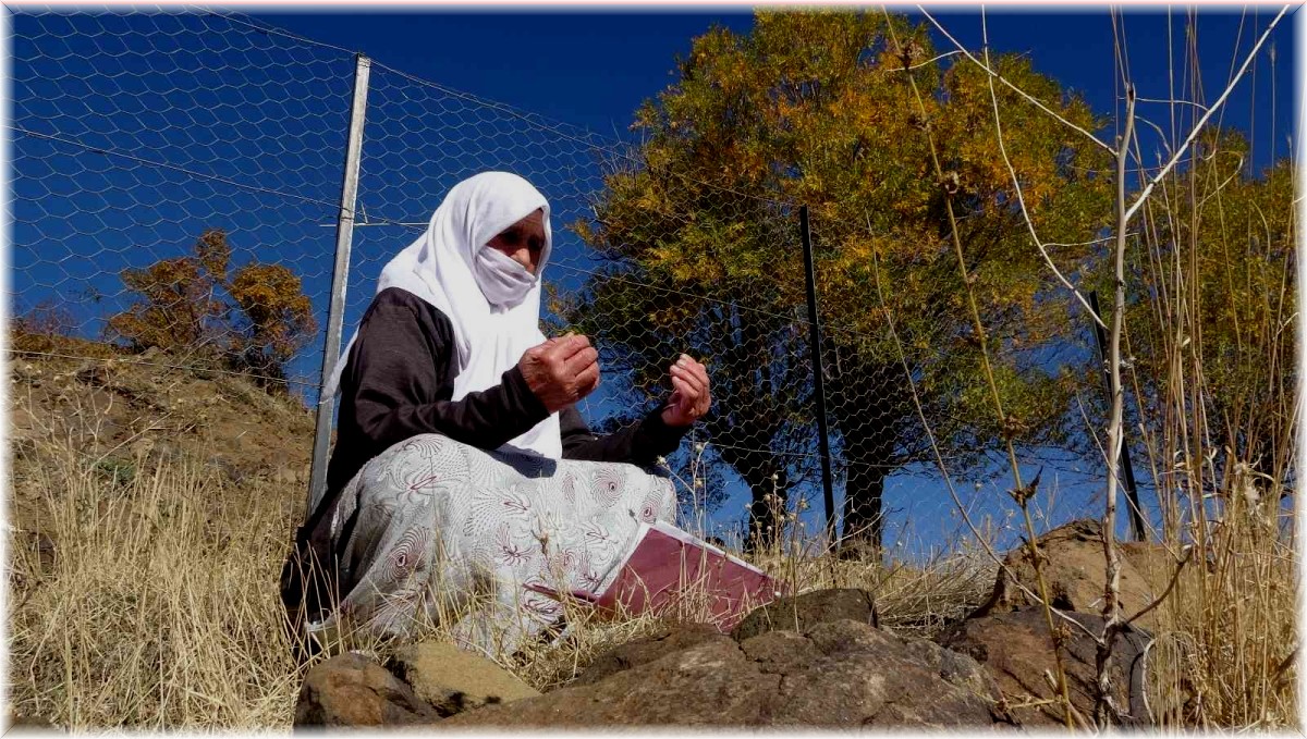İYİ Partili Lütfü Türkkan küfür etmişti, bir tepki de şehidin annesinden geldi