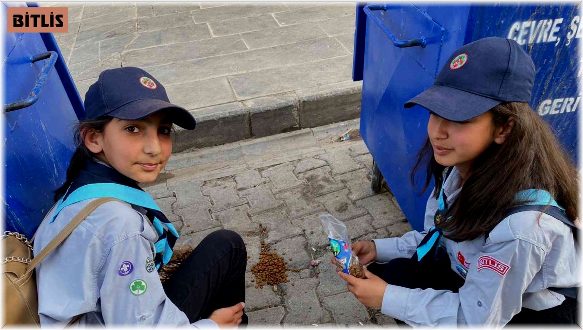 İzci öğrenciler sokak hayvanlarını besledi