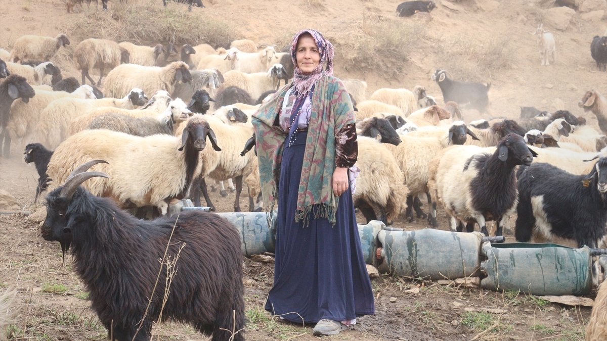 İzlediği haber sayesinde sürü sahibi oldu