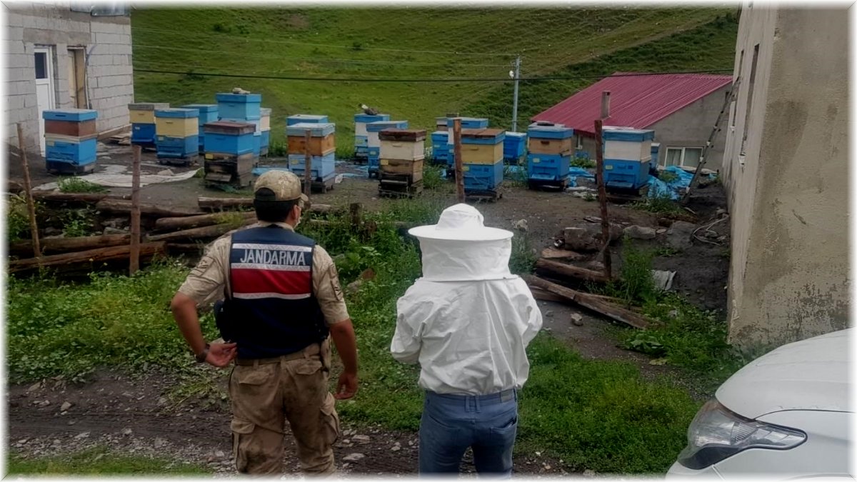 İzoleli coğrafi bölgeye arı ırkı sokan şahsa 15 bin 203 lira ceza kesildi