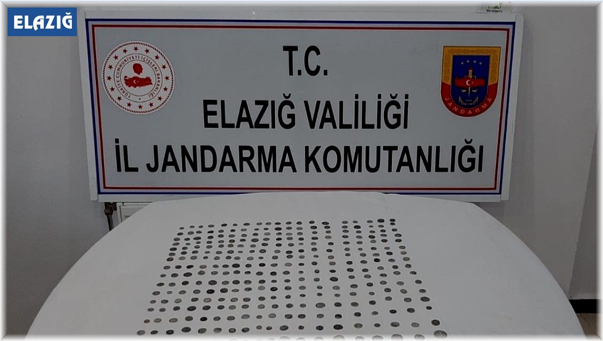 Jandarma alıcı kılığına girdi, Roma ve Bizans dönemine ait 325 tarihi eser ele geçirdi