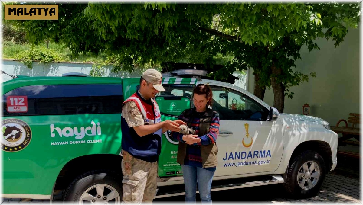 Jandarma'dan kuş şefkati