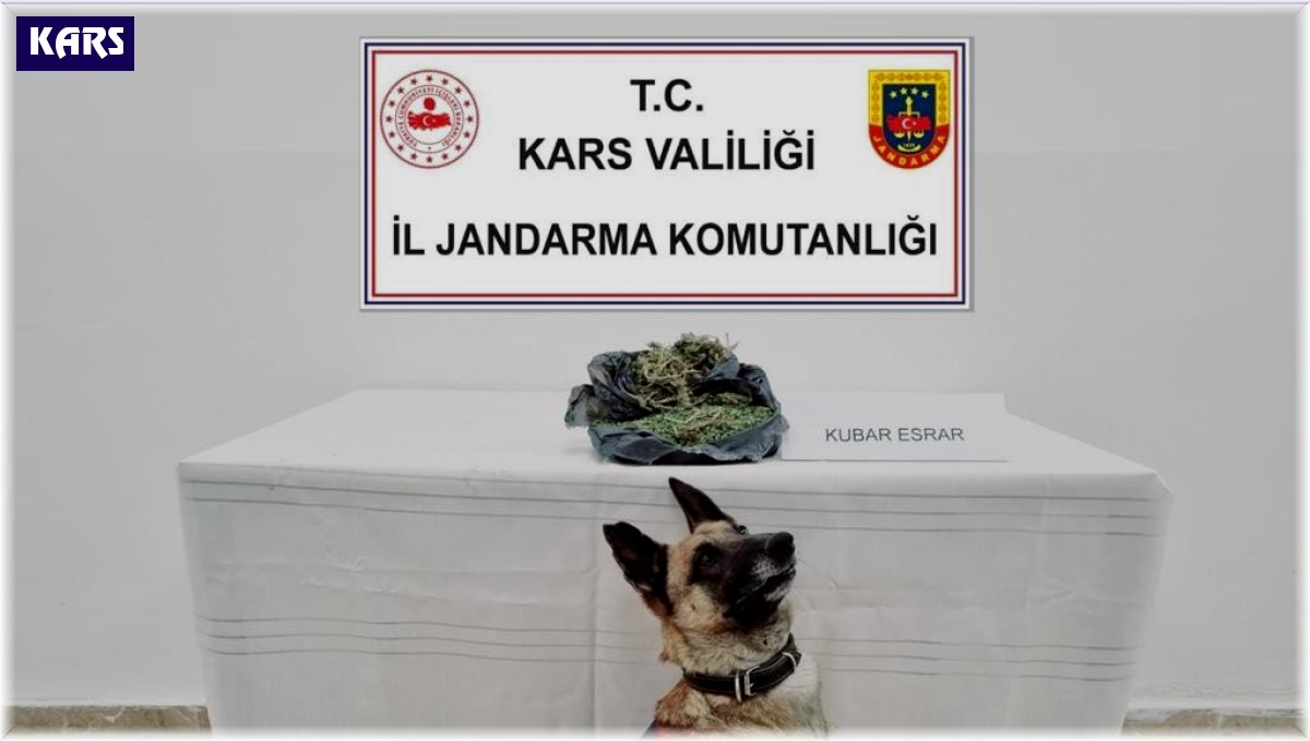 Jandarma'dan uyuşturucuya geçit yok