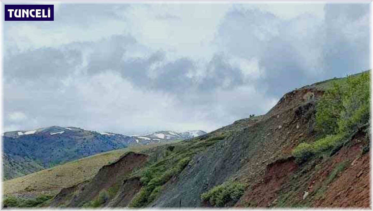 Jandarma ekibi tilkiyi elleri ile besledi