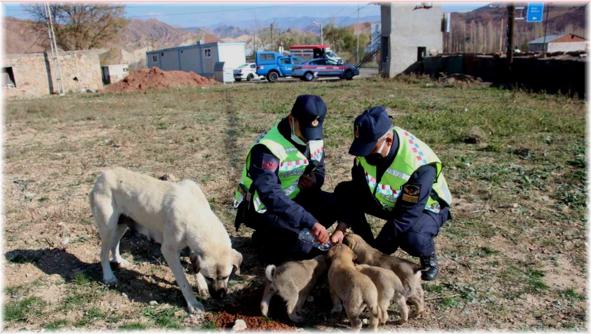 Jandarma ekibinin davranışı yürek ısıttı