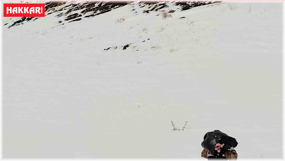 Jandarma ekipleri doğaya yiyecek bıraktı