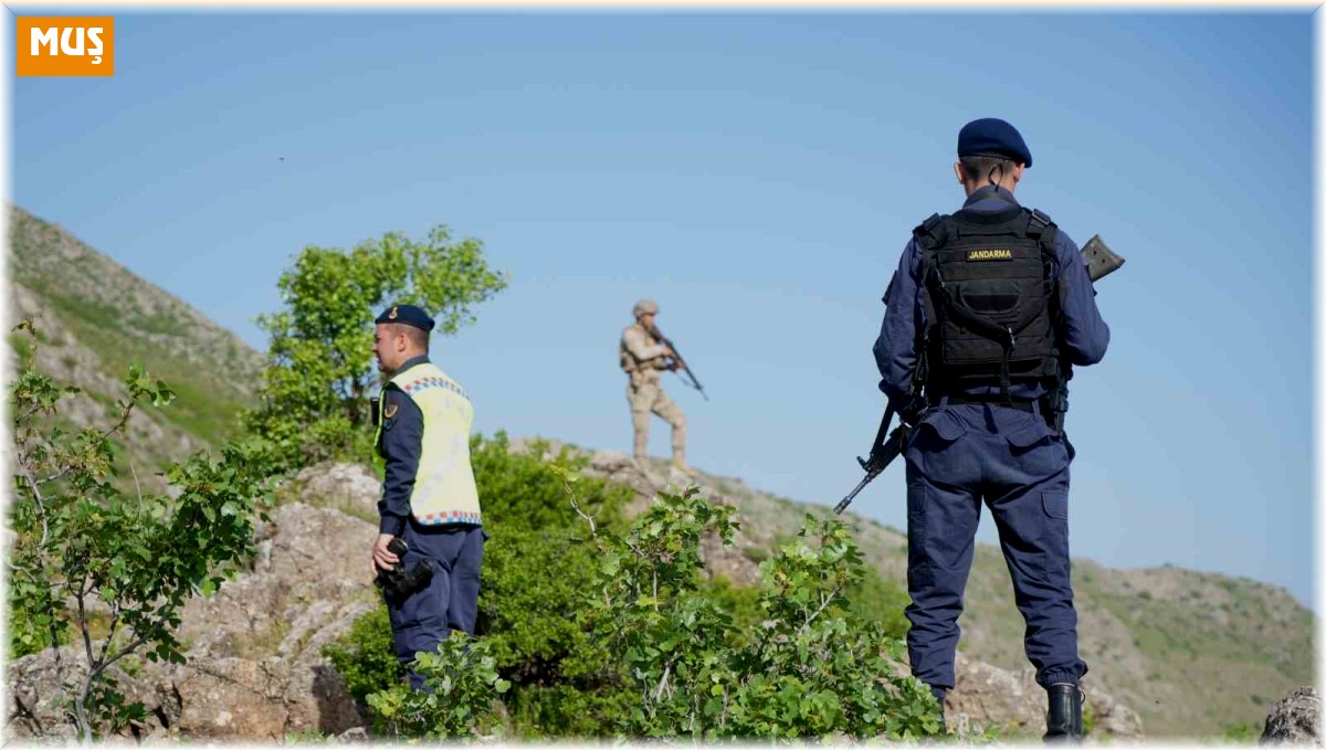Jandarma ekipleri terörü bitirdikleri dağlarda şimdilerde ters lale nöbeti tutuyor