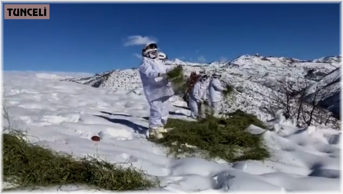 Jandarma ekipleri yaban hayvanlarını unutmadı