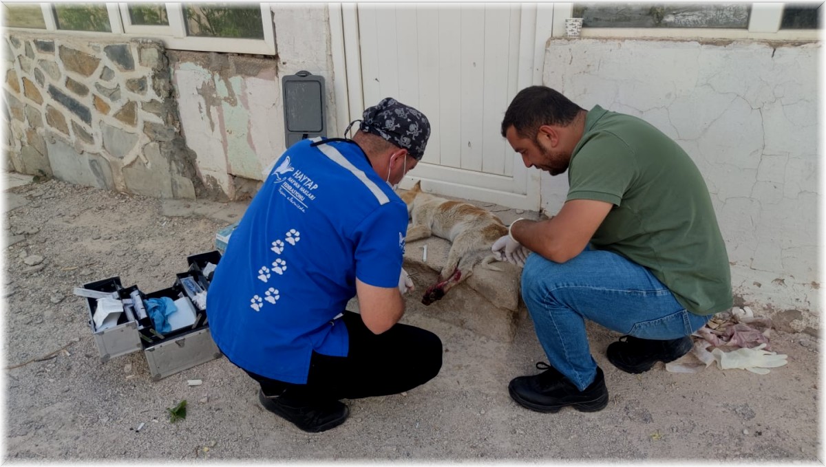 Jandarma haber verdi belediye ekipleri kurtardı