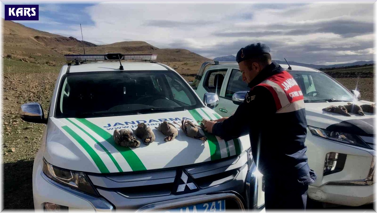 Jandarma kaçak avcıları suçüstü yakaladı