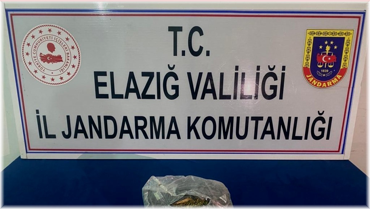 Jandarma uyuşturucu tacirlerine geçit vermiyor: 2 tutuklama