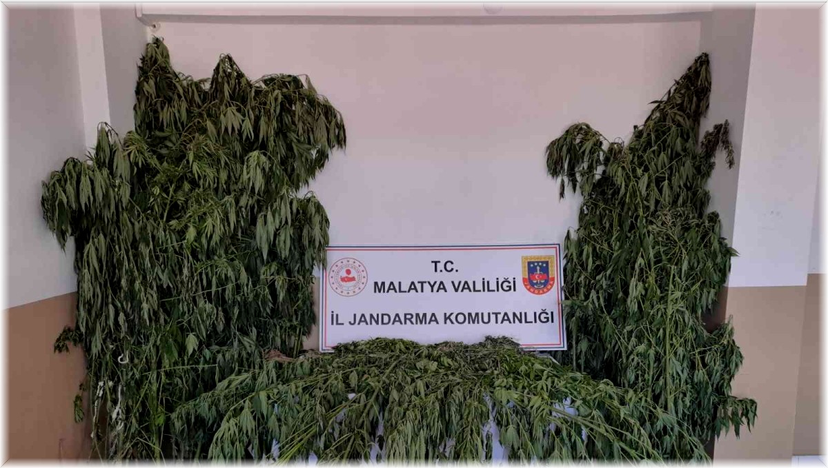 Jandarma uyuşturucuya geçit vermiyor