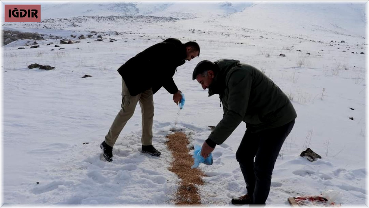 Jandarma ve emniyetten yemleme çalışması