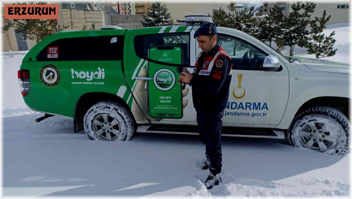 Jandarma yaban hayatı unutmadı