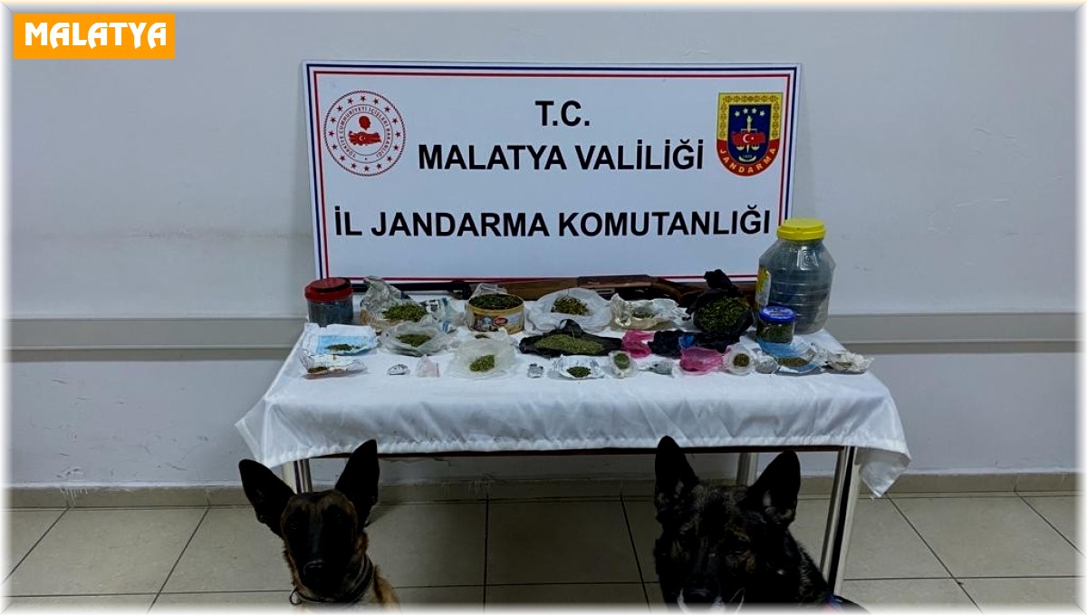 Jandarmadan 4 adrese uyuşturucu operasyonu