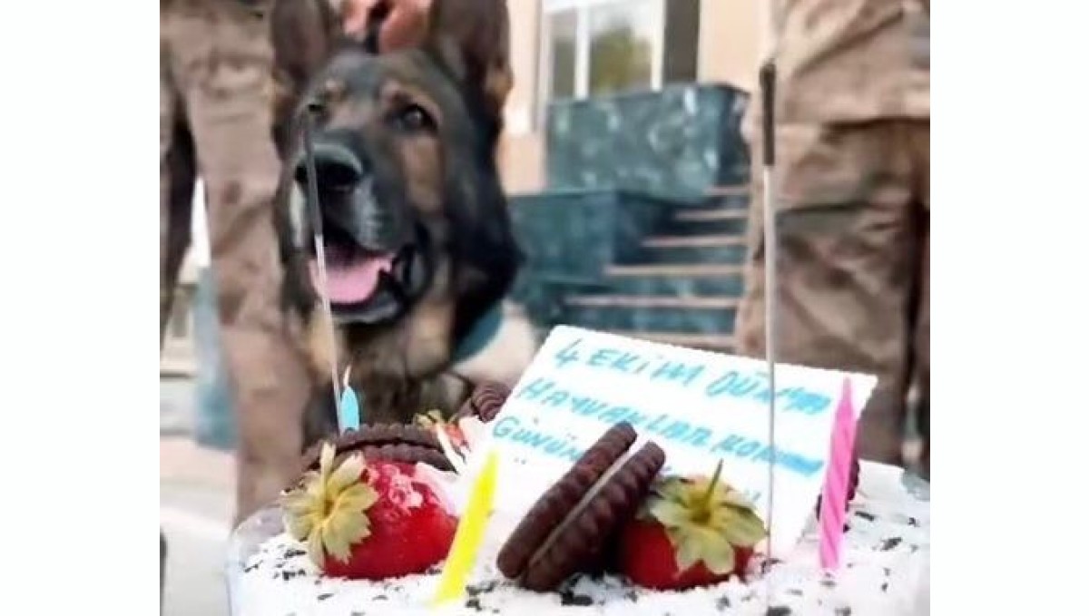 Jandarmadan 'can dostlara' özel kutlama