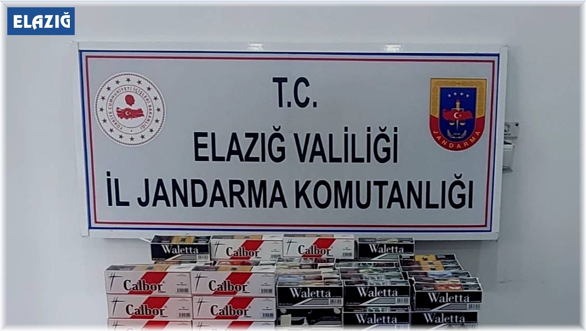 Jandarmadan kaçak sigara ve makaron operasyonu