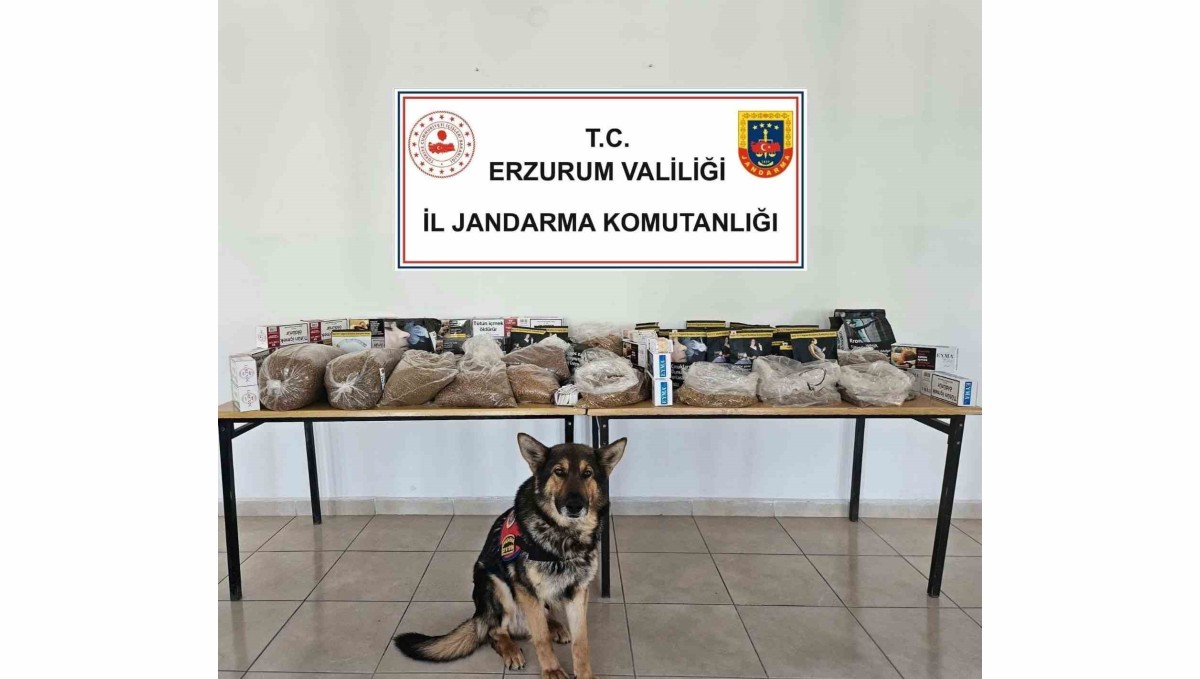Jandarmadan kaçak tütün operasyonu