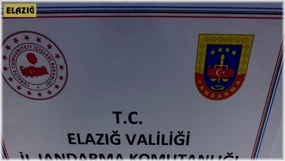 Jandarmadan tarihi eser operasyonu: 2 gözaltı