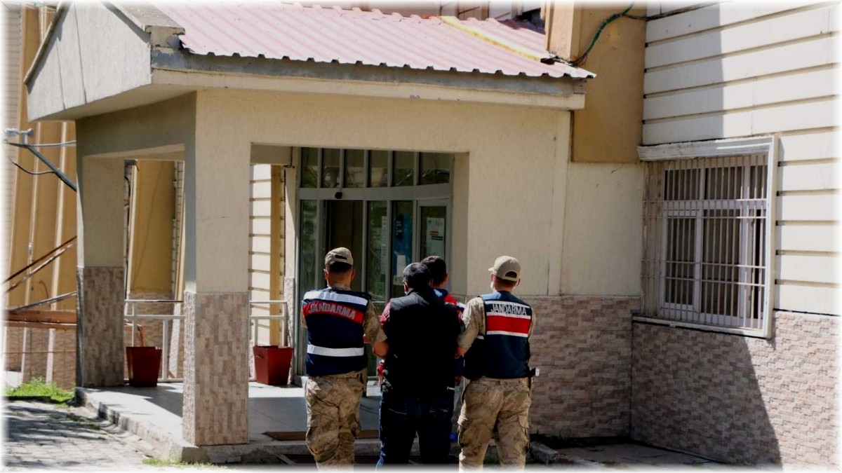 Jandarmadan terör örgütlerine darbe