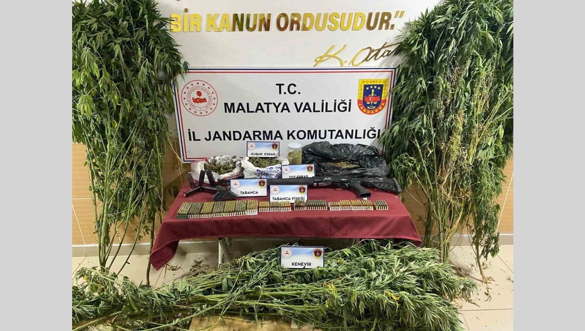 jandarmadan uyuşturucu operasyonu: 1 gözaltı