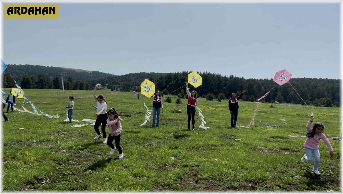 Jandarmanın uçurtma şenliğinden renkli görüntüler