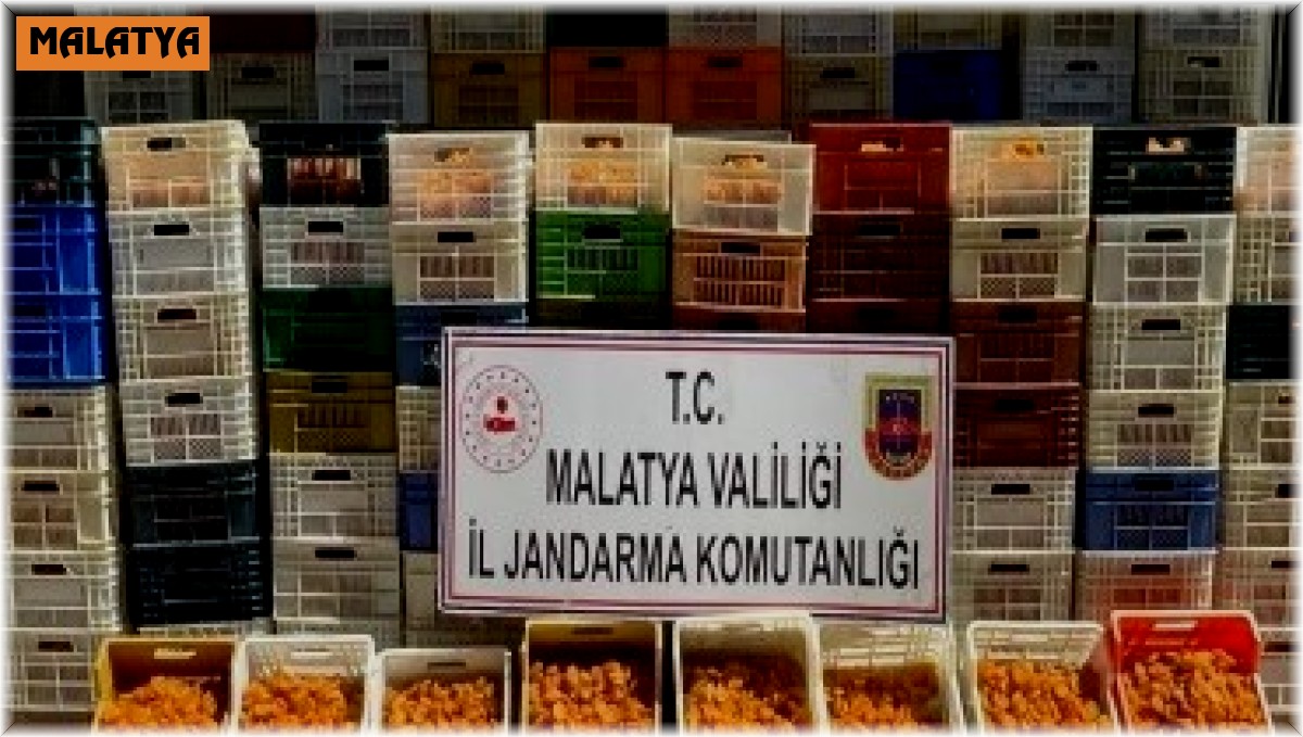 JASAT suçlulara göz açtırmadı