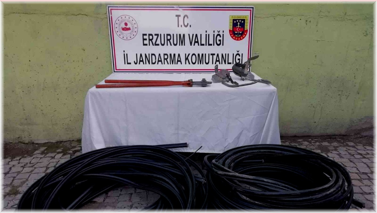 Kablo hırsızları jandarmadan kaçamadı