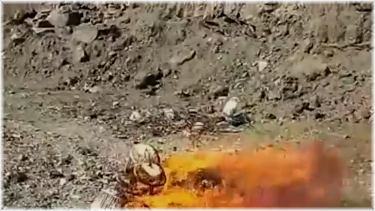 Kaçak avcıların kafesleri yakılarak imha edildi