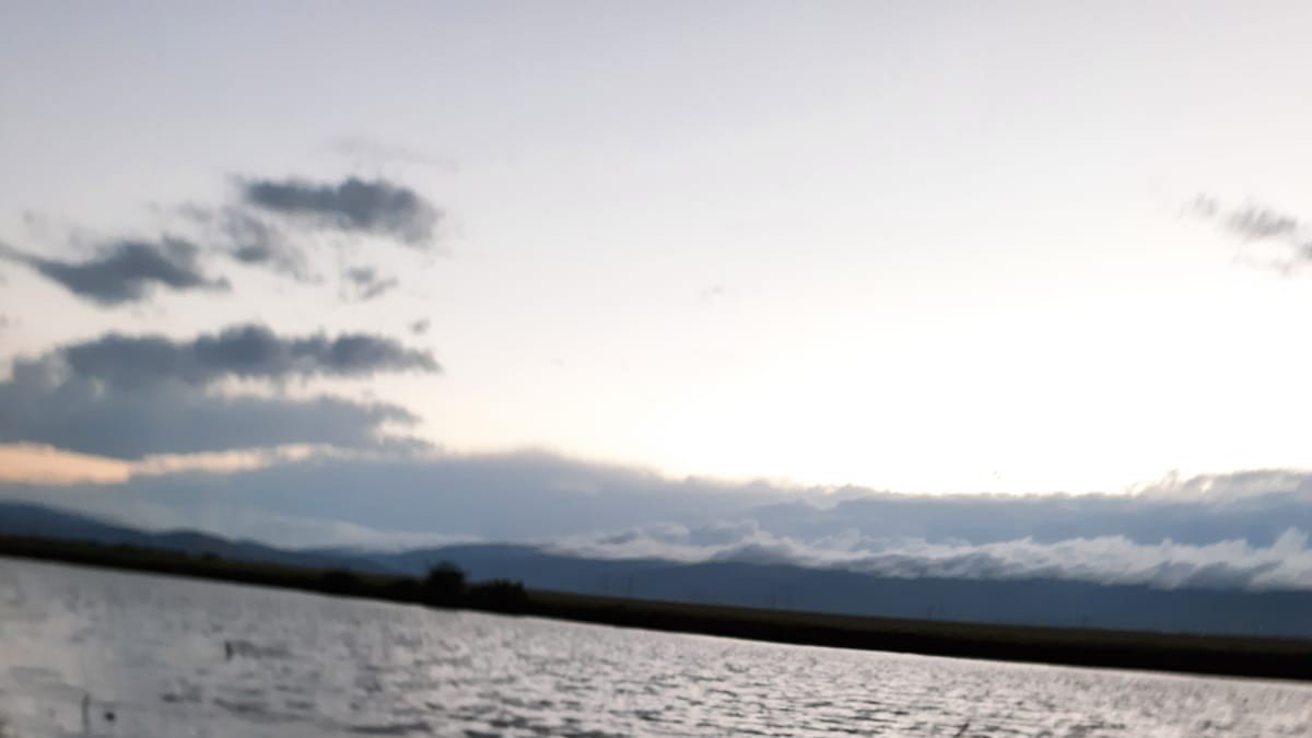 Kaçak avlanan balıklar nehre bırakıldı