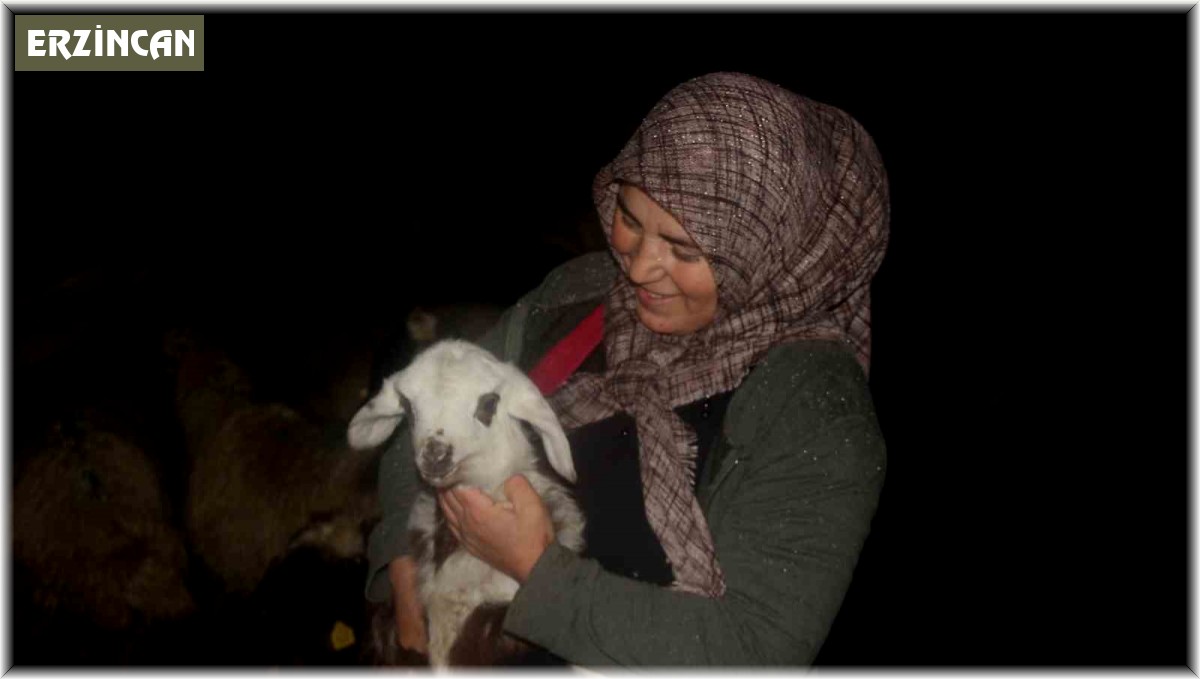 Kadın girişimci devletten aldığı destekle hayvancılık yapıyor