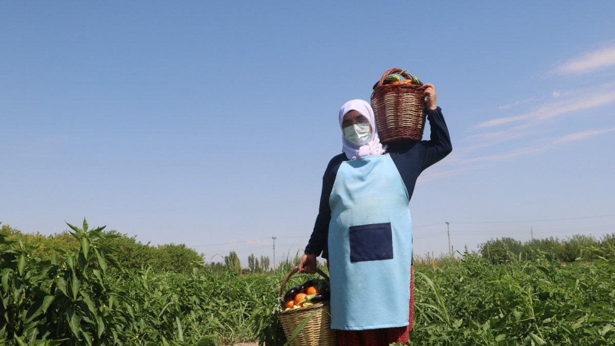 Kadınlar deprem ve Covid-19 stresini hasat yaparak attı