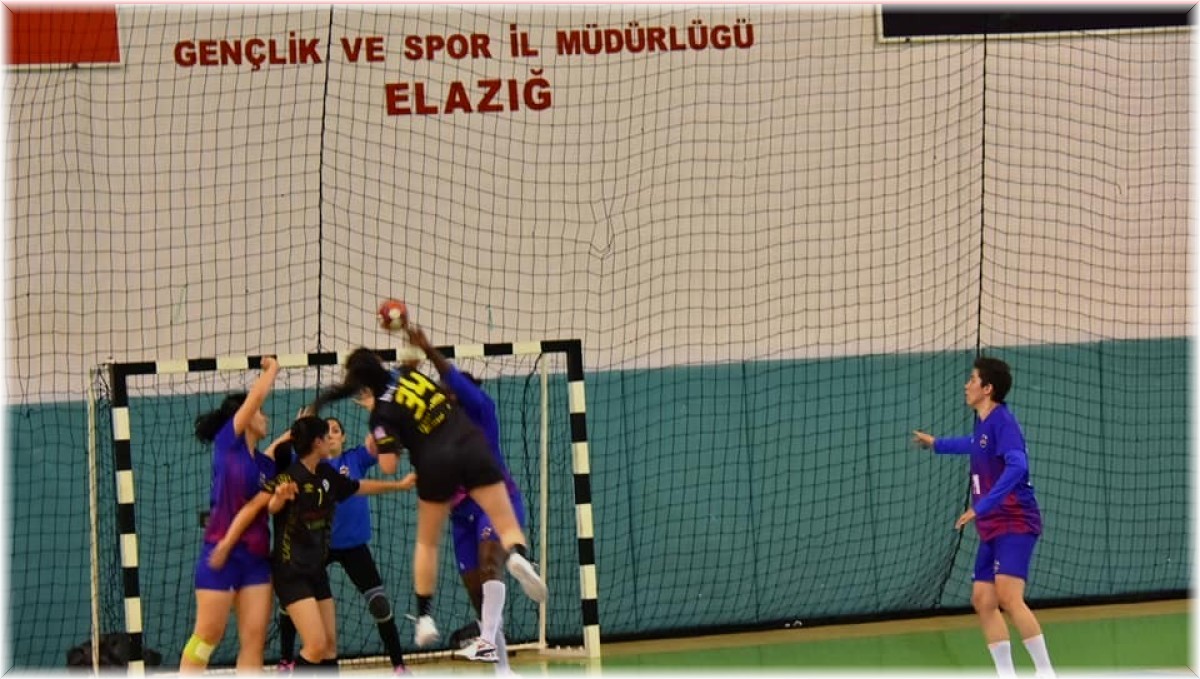 Kadınlar Hentbol 1. Ligi: Elazığ SYSK: 20 - Mersin Büyükşehir Belediyespor: 22
