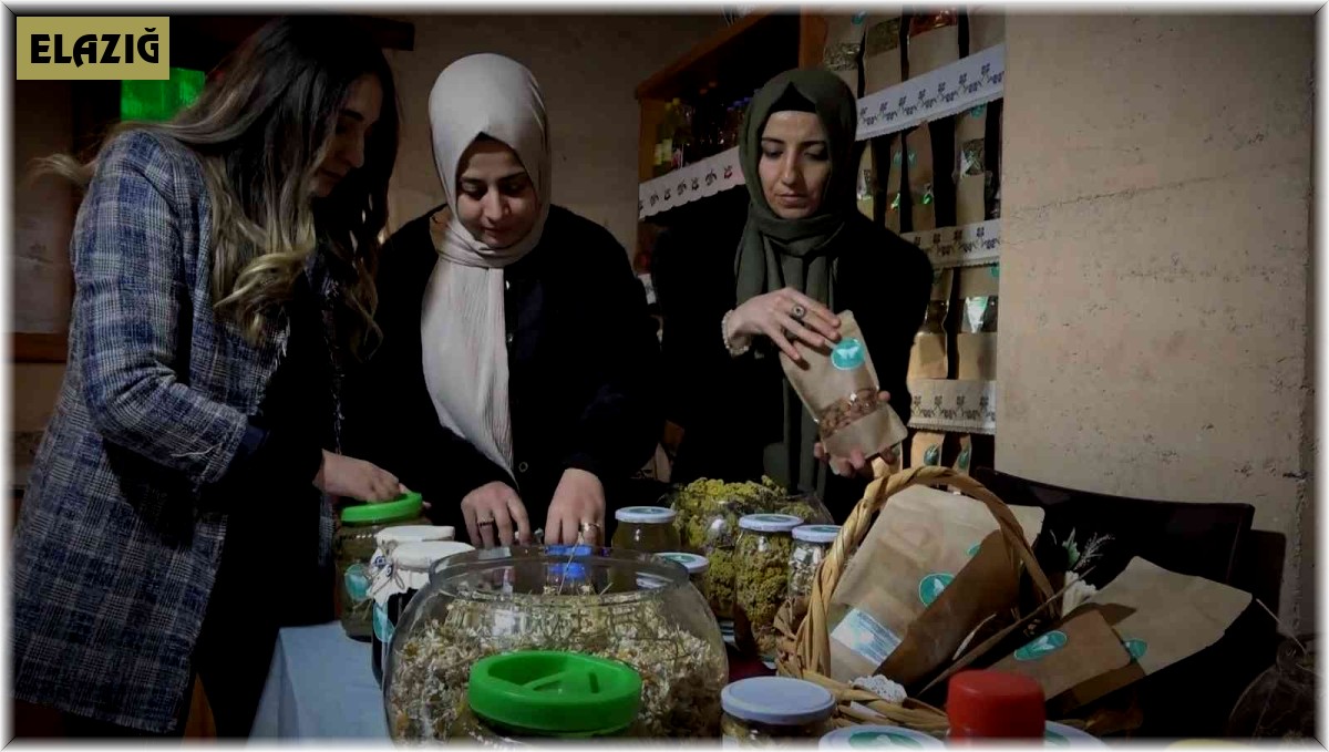 Kadınlar kooperatif kurdu, 'Anadolu Meleği' markasıyla satışa başladı