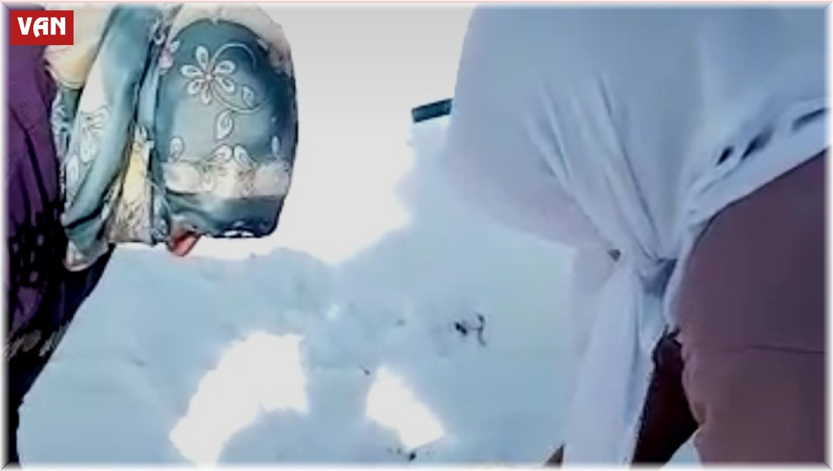 Kafası bidona sıkışan köpeği kadınlar kurtardı