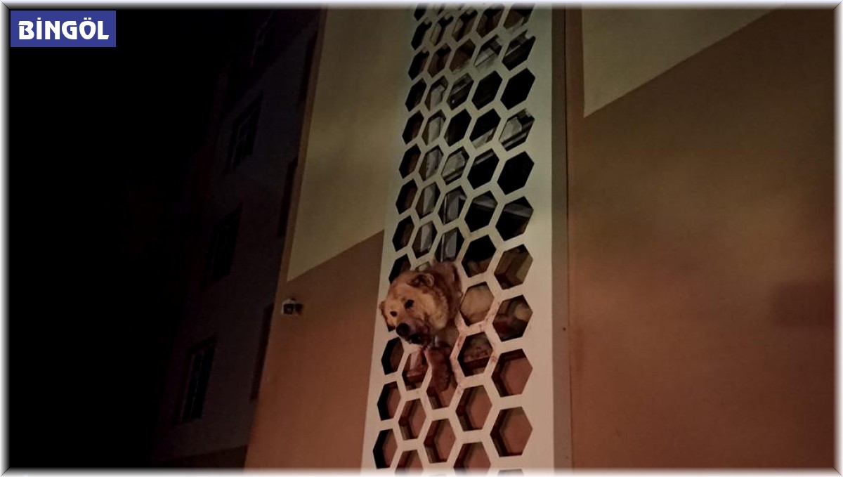 Kafası demir korkuluklara sıkışan köpeği itfaiye kurtardı