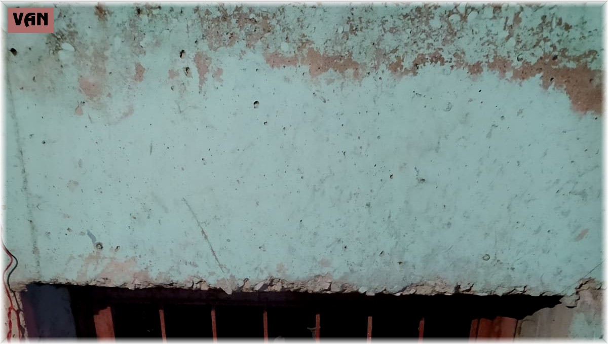 Kafası demir korkuluklara sıkışan köpek kurtarıldı